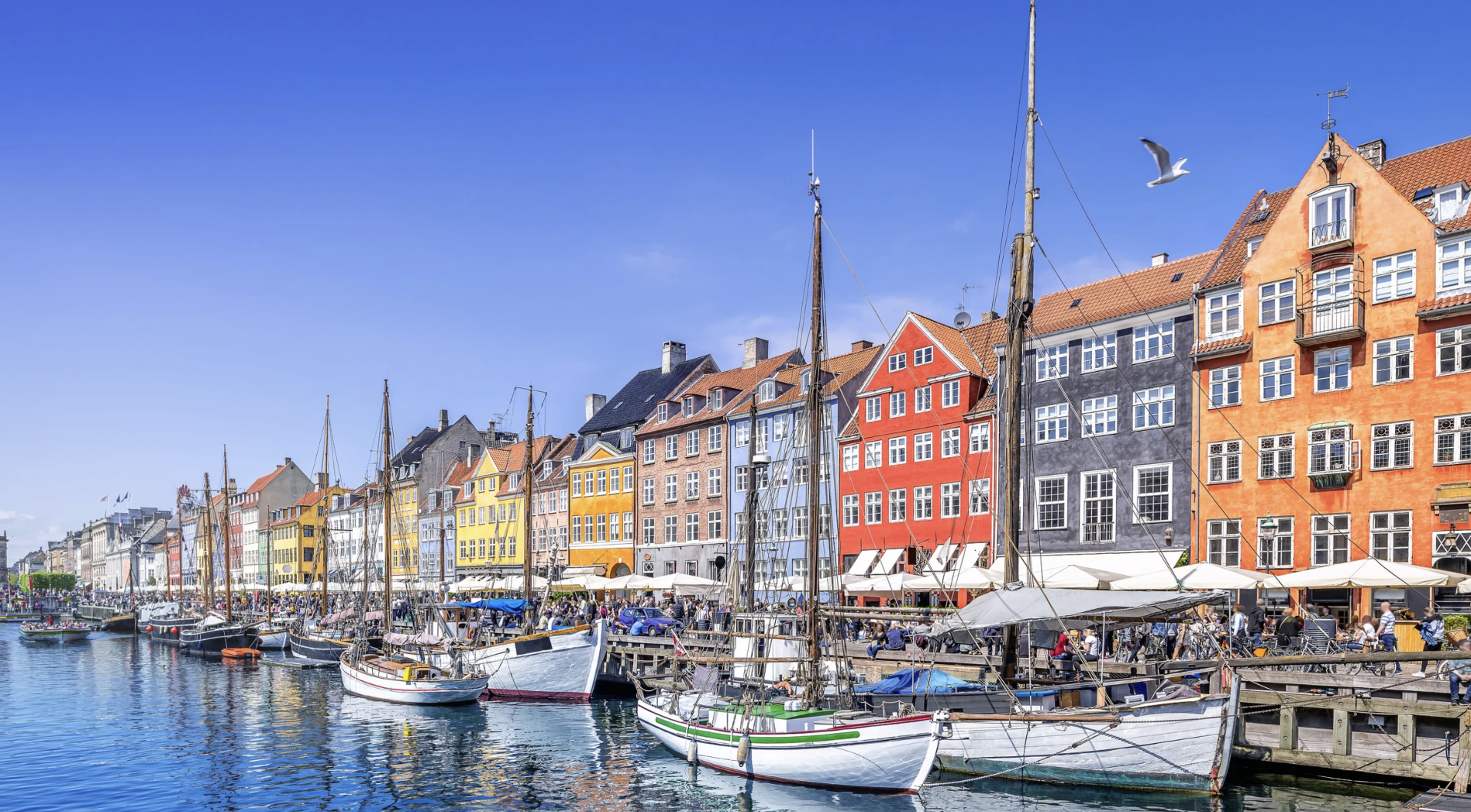 Screenshot at . . PM