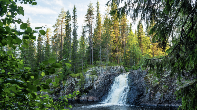 Screenshot at . . PM