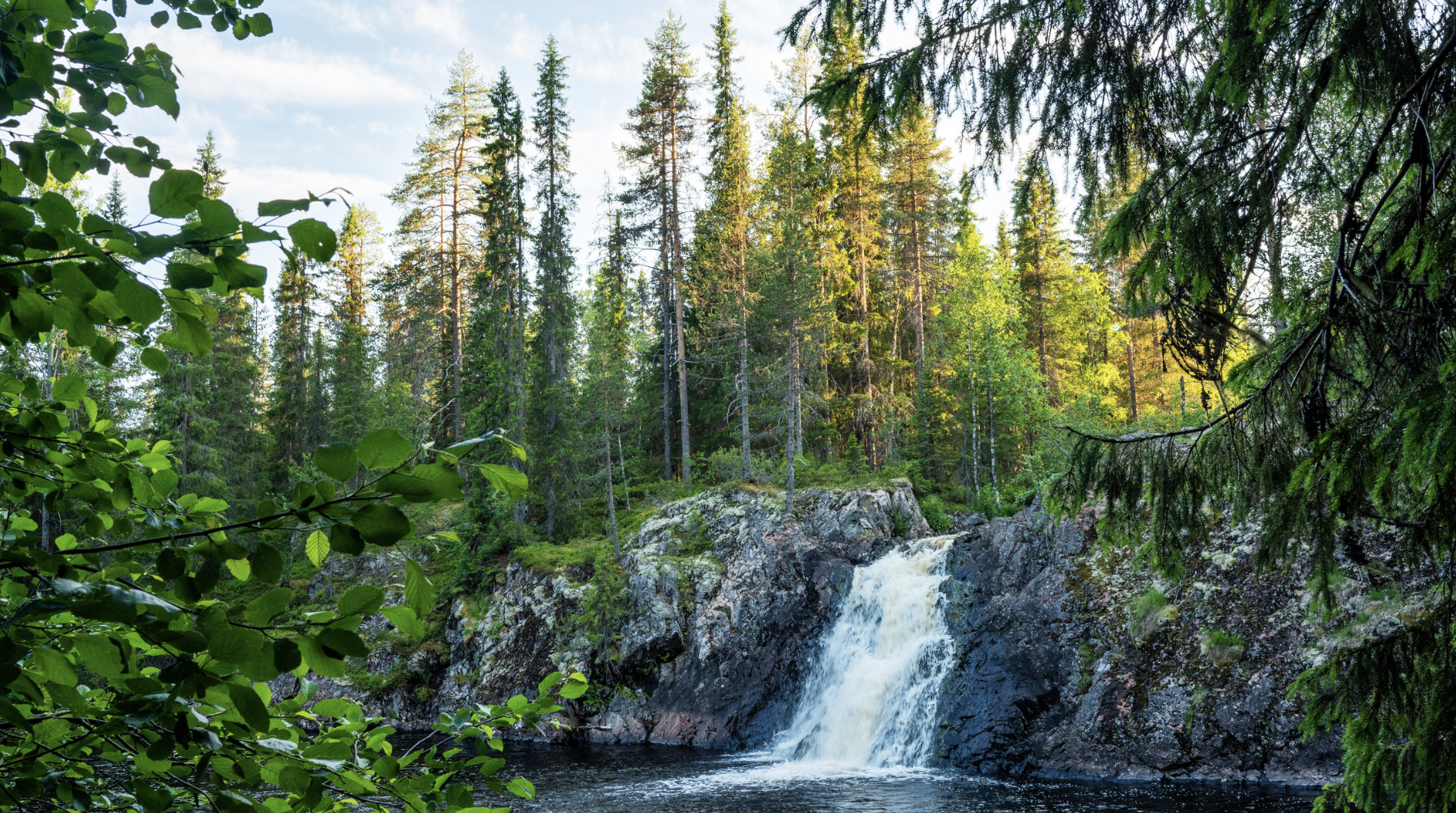 Screenshot at . . PM