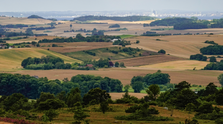 Screenshot at . . PM