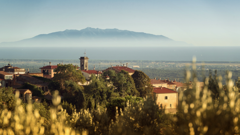 Screenshot at . . PM