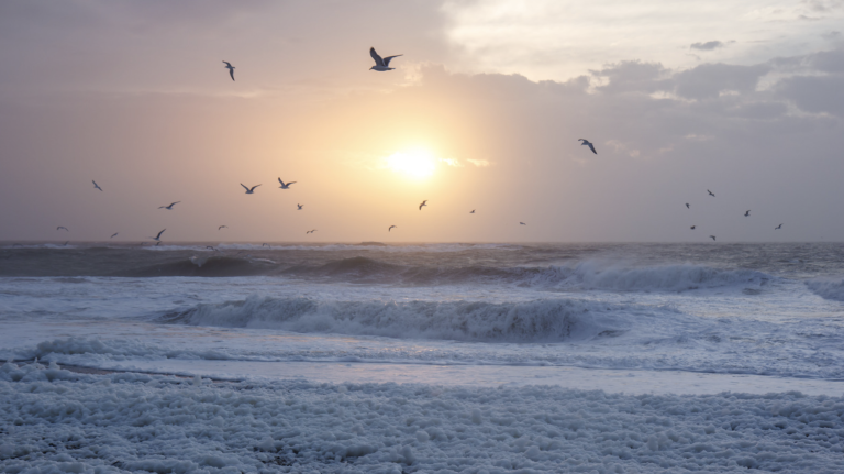 Screenshot at . . PM