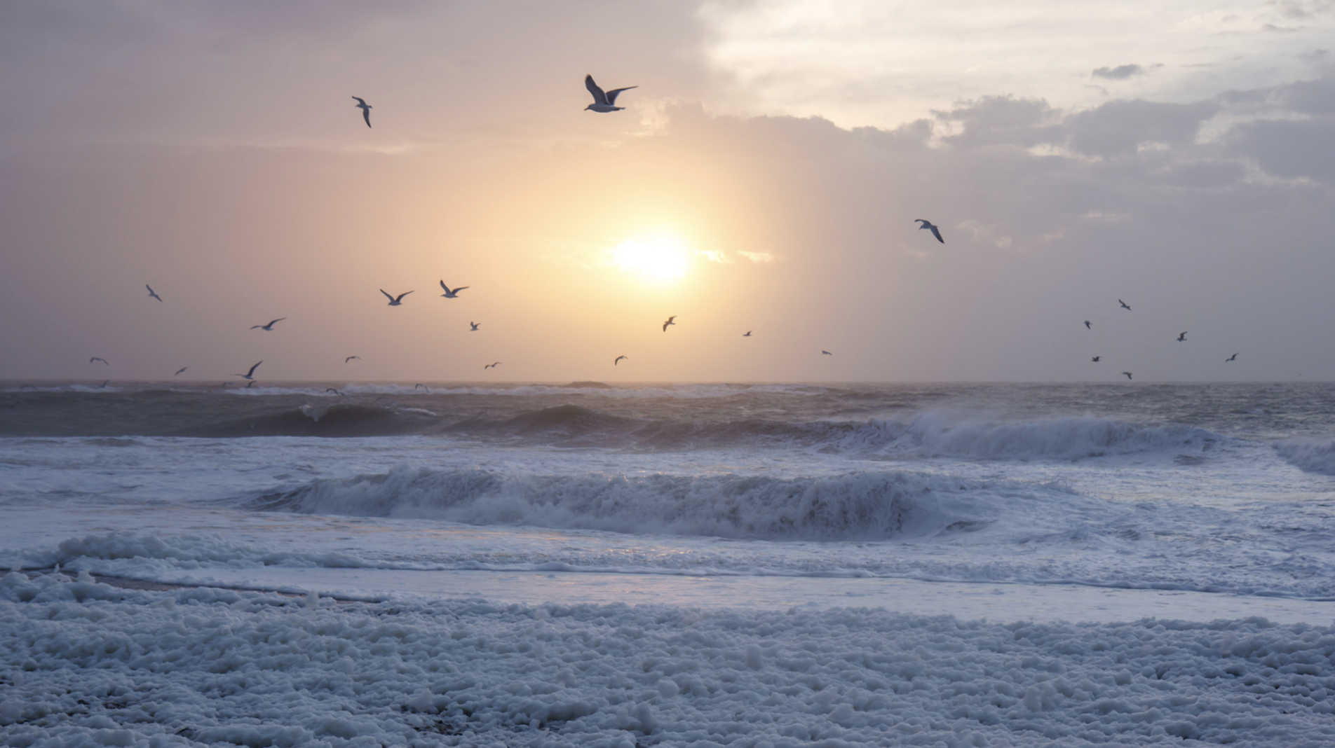 Screenshot at . . PM