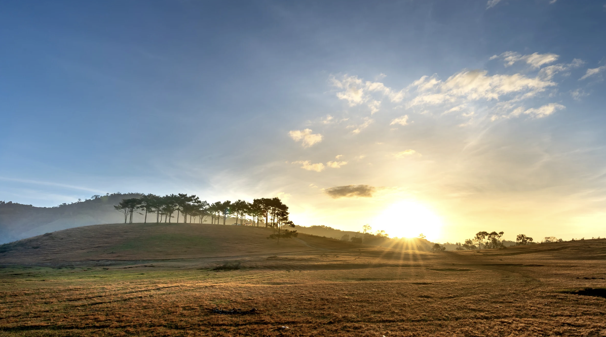 Screenshot at . . PM