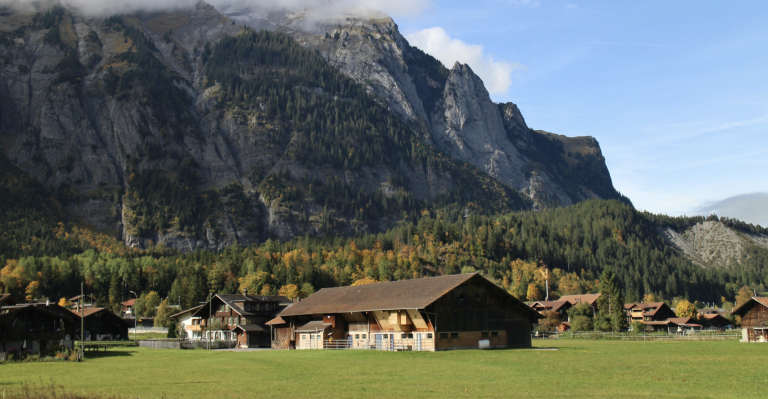 Screenshot at . . PM