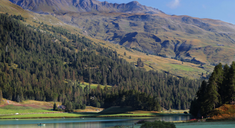 Screenshot at . . PM