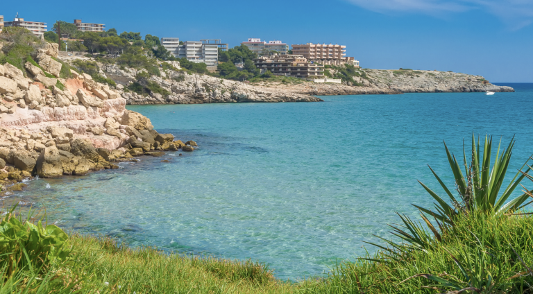 Screenshot at . . PM