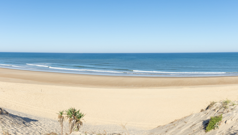 Screenshot at . . PM