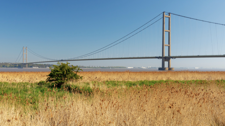 Screenshot at . . AM