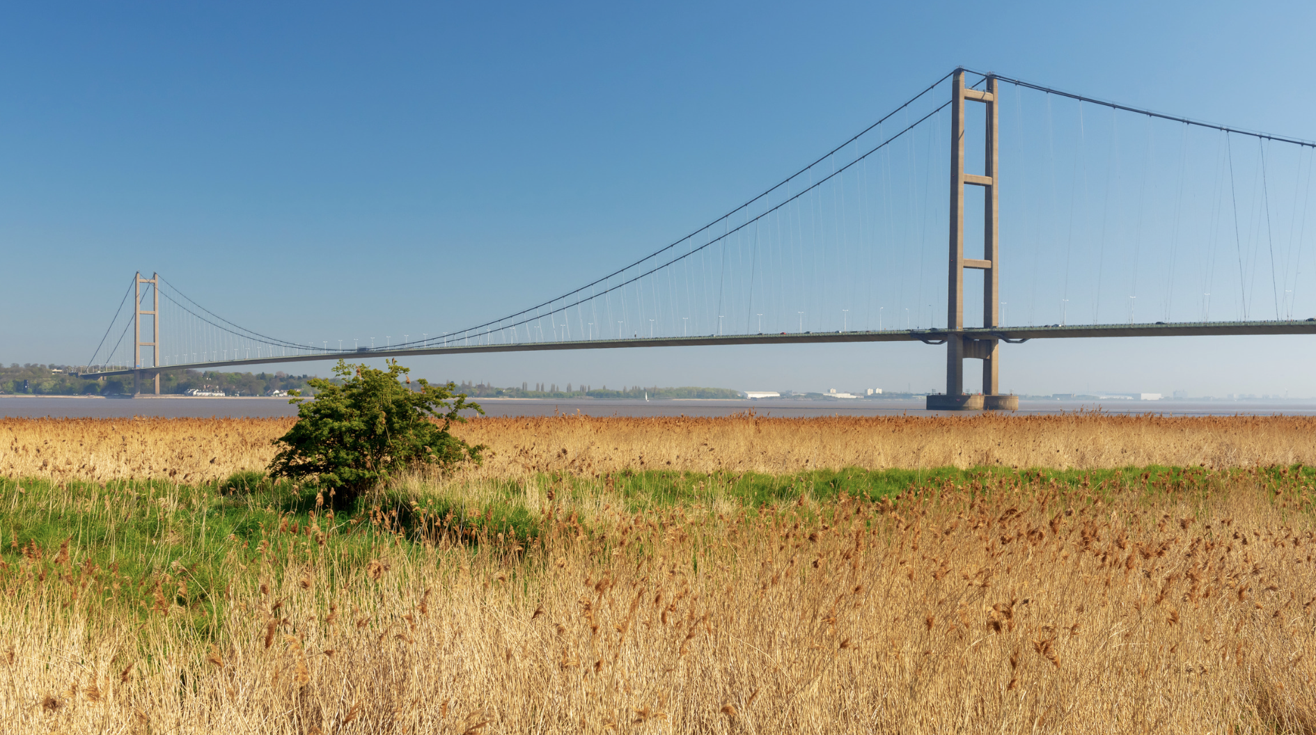 Screenshot at . . AM