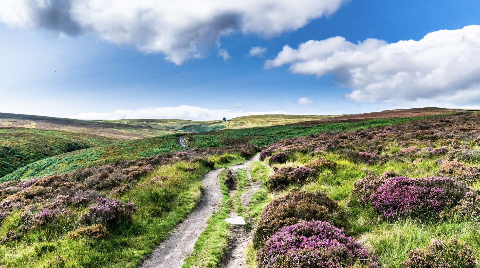 Screenshot at . . AM