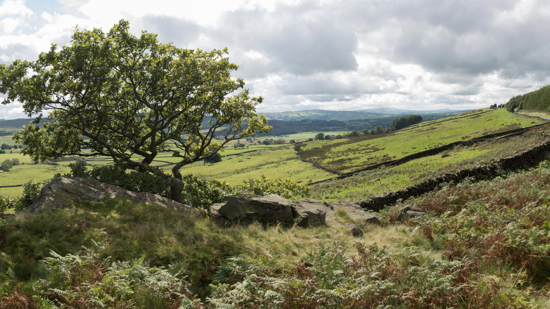 Screenshot at . . AM