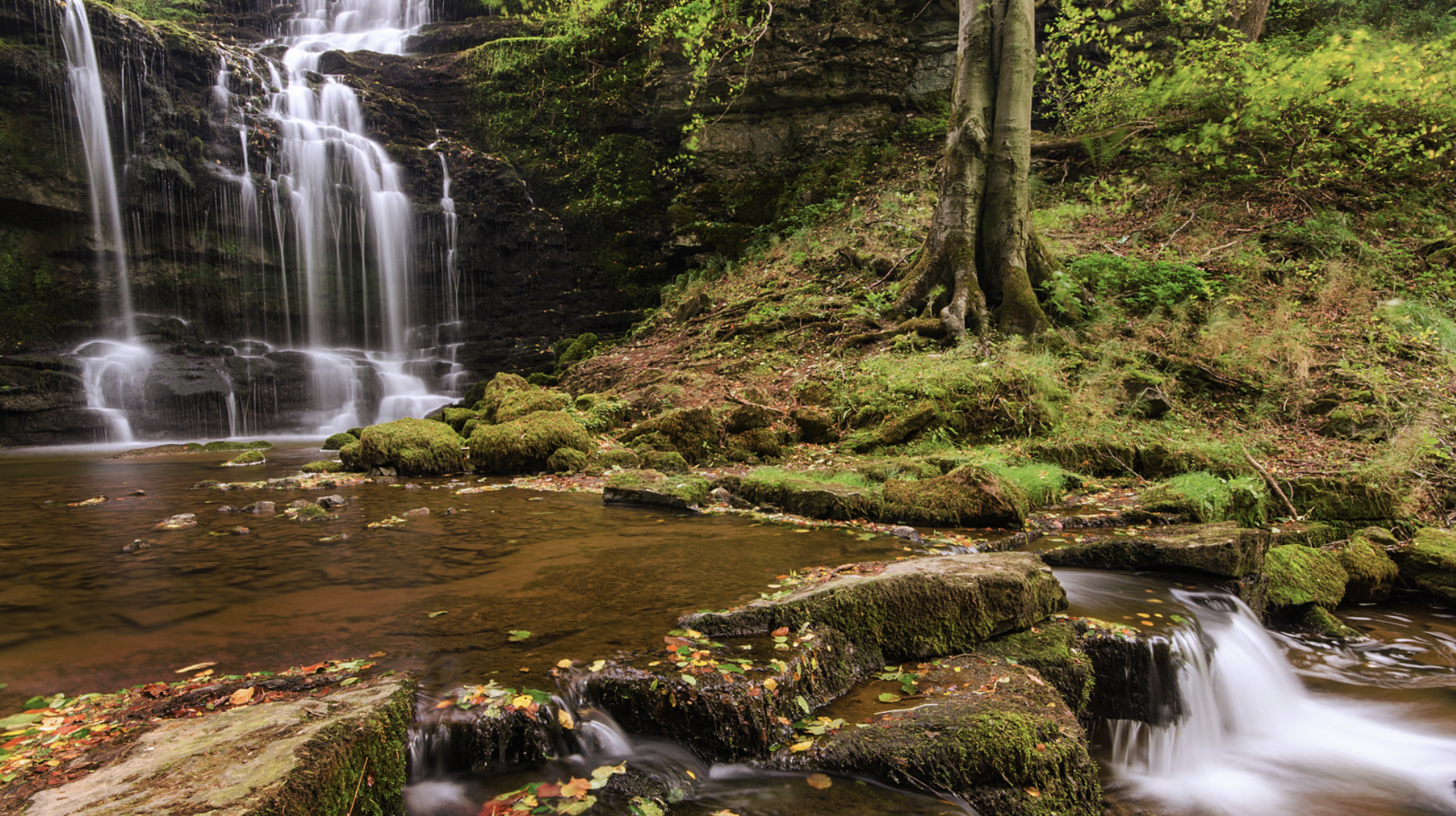 Screenshot at . . AM