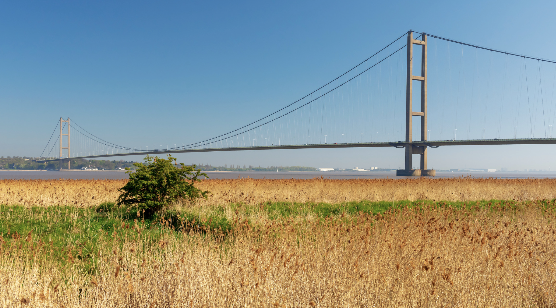 Screenshot at . . PM