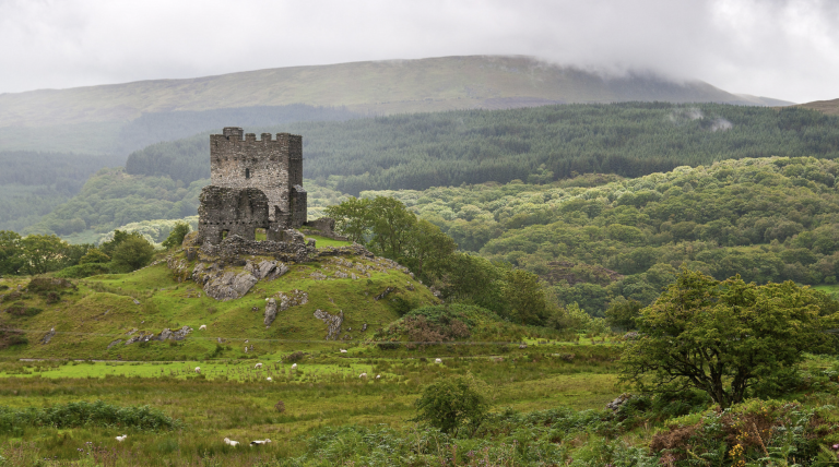 Screenshot at . . PM