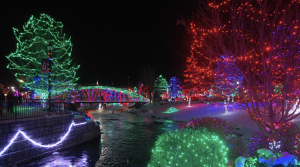 North Carolina Arboretum Winter Lights