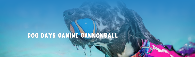 Dog Days Canine Cannonball