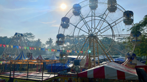 Gillespie County Fair