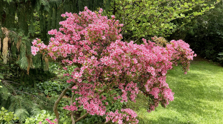 Screenshot at . . AM