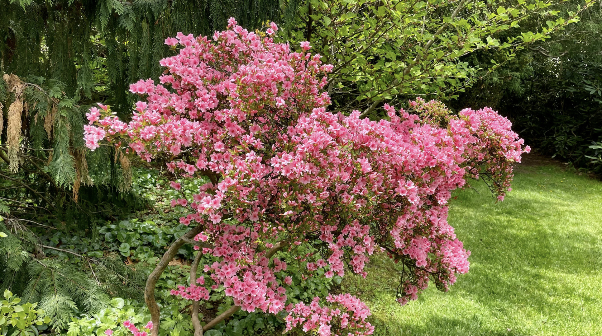 Screenshot at . . AM