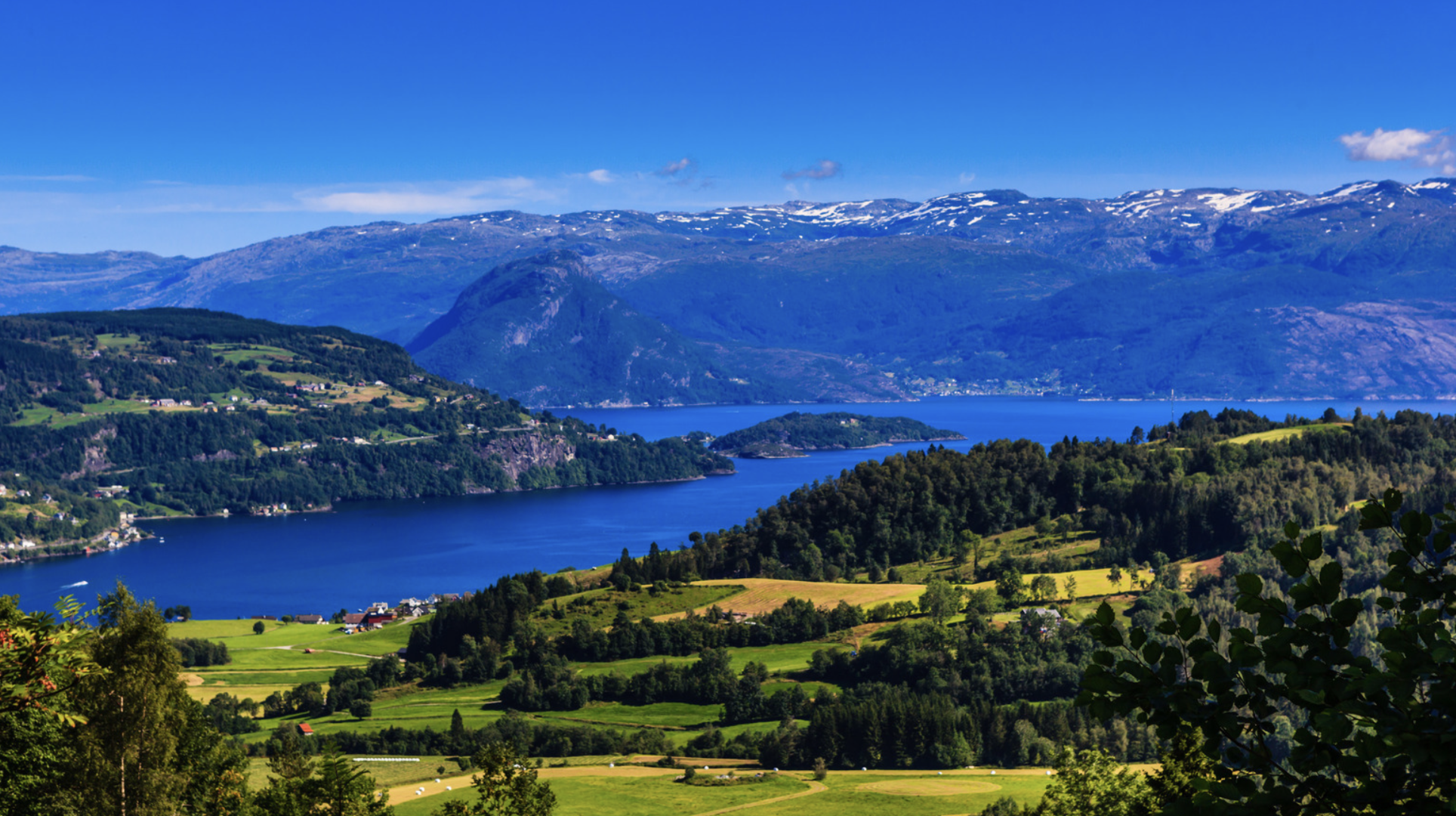 Screenshot at . . PM