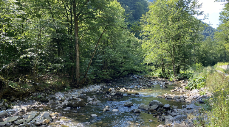 Screenshot at . . PM