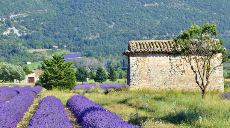 Screenshot at . . PM