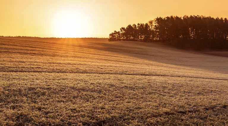 Screenshot at . . PM