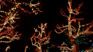 Festival of Northern Lights in Owen Sound