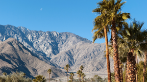 Modernism Week (Palm Springs)