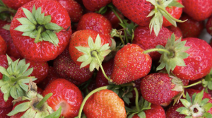 West Virginia Strawberry Festival