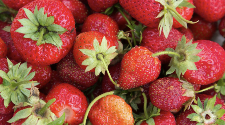 West Virginia Strawberry Festival