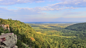 Wo Zha Wa Fall Festival