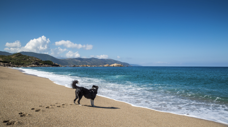 Screenshot at . . AM