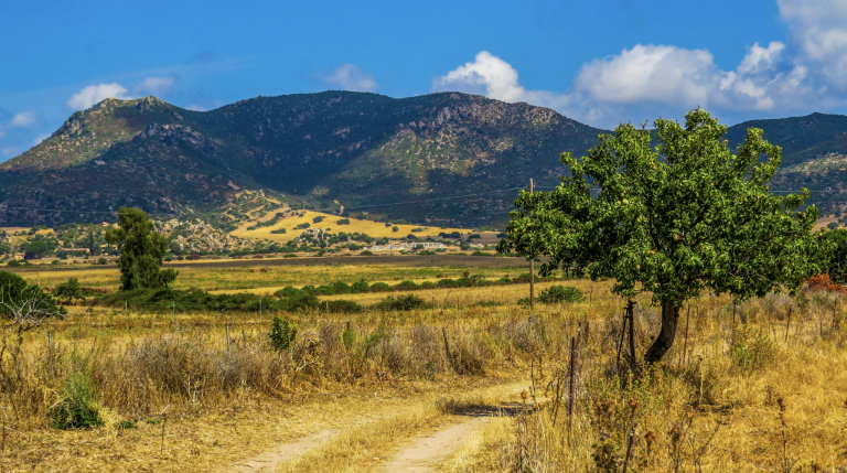 Screenshot at . . AM