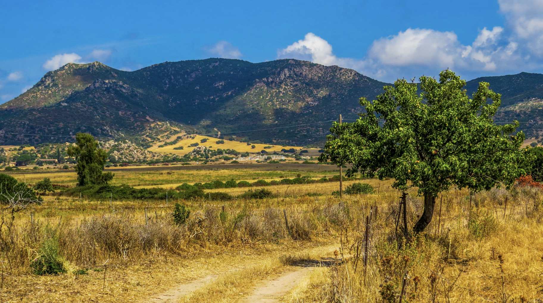 Screenshot at . . AM