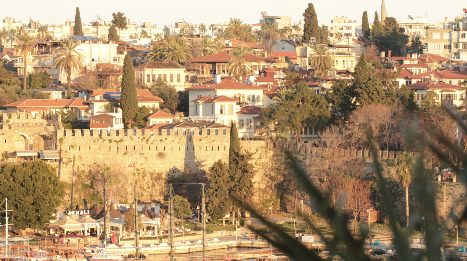 Screenshot at . . AM