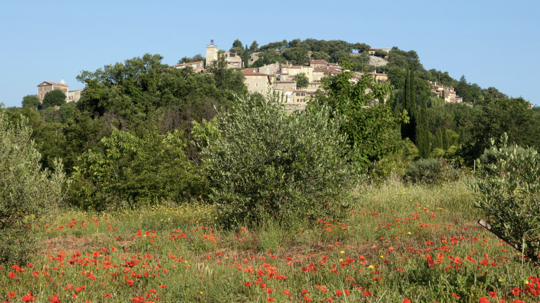 Screenshot at . . AM