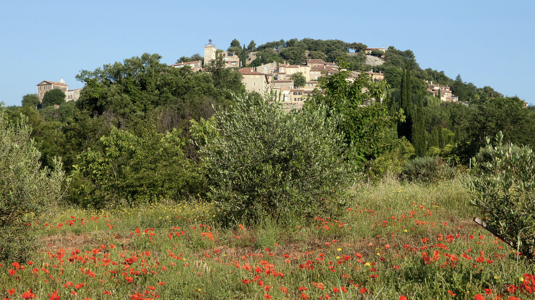 Screenshot at . . AM