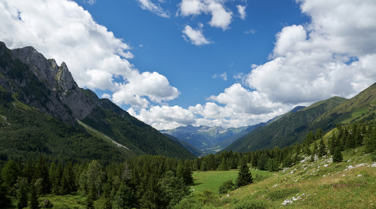 Screenshot at . . AM