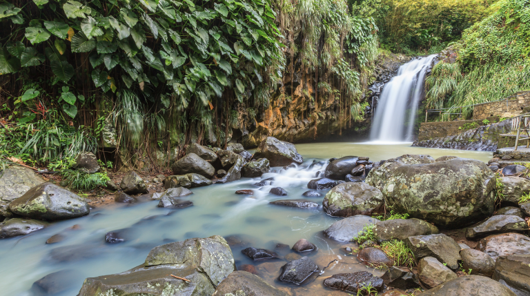 Screenshot at . . AM