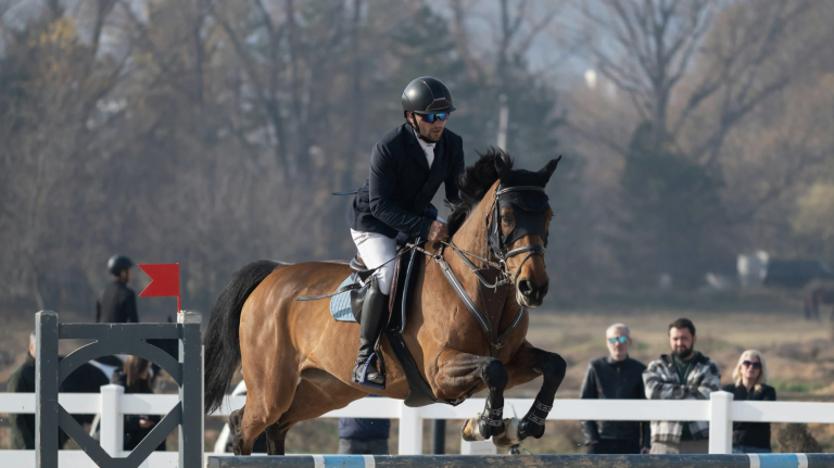 Norfolk County Fair & Horse Show in Simcoe