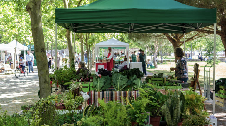 Nyack Street Fair Sunday in September