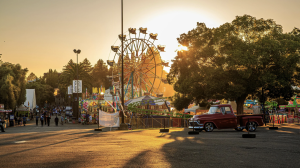 Preston County Buckwheat Festival