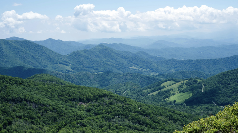 An Appalachian Summer