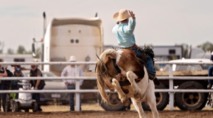 Black Hills Stock Show & Rodeo