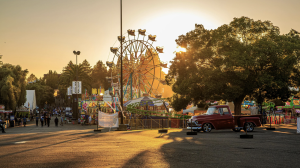 Walworth County Fair