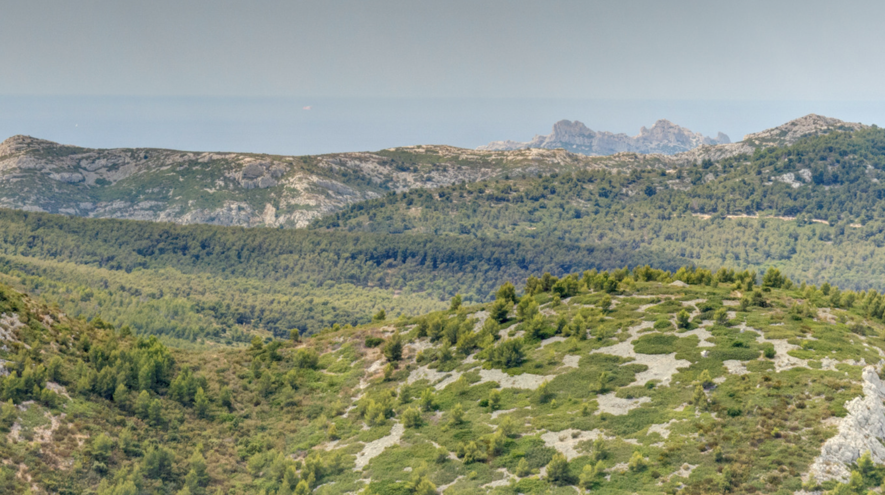 Screenshot at . . PM