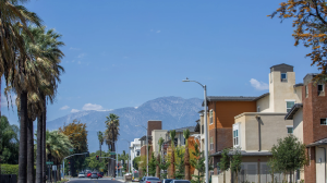 Palm Springs International ShortFest