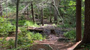 Challenging Hiking Trail